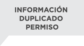 Info Vehiculo